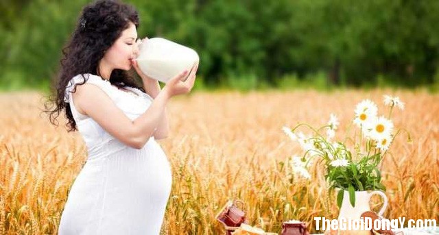photo 0 1491634013033 Có bắt buộc phải uống sữa trong thai kỳ không?