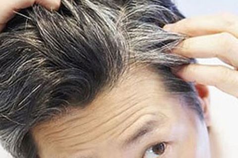 chua toc bac som tu y hoc co truyen 3 phương pháp chữa tóc bạc sớm từ y học cổ truyền