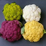 Green, White, Purple, and Orange Cauliflower