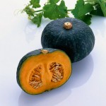 Japanese pumpkin