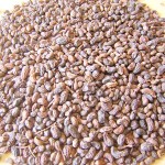 nutrinhtu