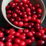 cranberry1