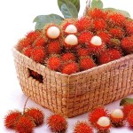 rambutan_fruit-9036e