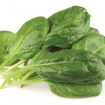 Spinach on white close up