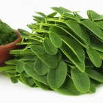 moringa