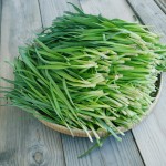 Garlic-Chives-2